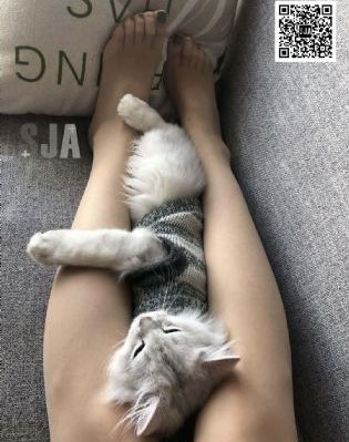冀中地道战电影在线观看_1080P免费观看最新