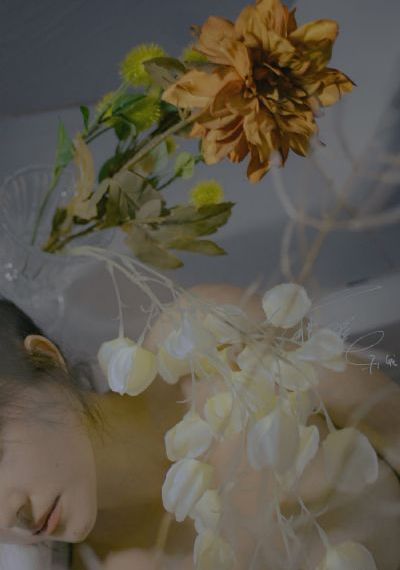 花房姑娘免费观看8集电视剧高清_1080高清在线观看