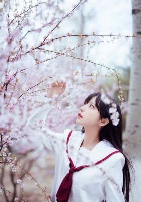 天天干夜夜擦_BD国语免费高清观看