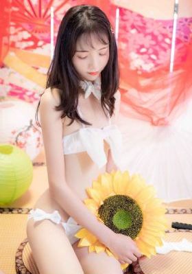 无码毛片一区二区视频_4K全集免费播放